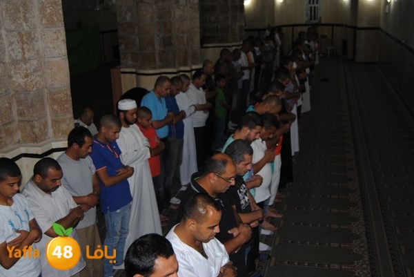 tarawe7 ramlasjju (49).JPG